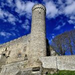 Homepage Pikk Hermann