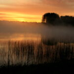 Homepage misty sunrise