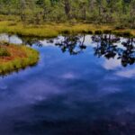 Homepage blue sky reflection