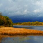 Homepage thunder approaching