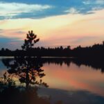 Homepage bog pond at night